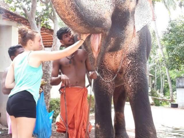 Mohans Ayurvedic Beach Resort Varkala Bagian luar foto